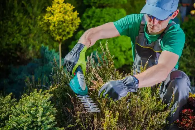 landscaping services Toronto